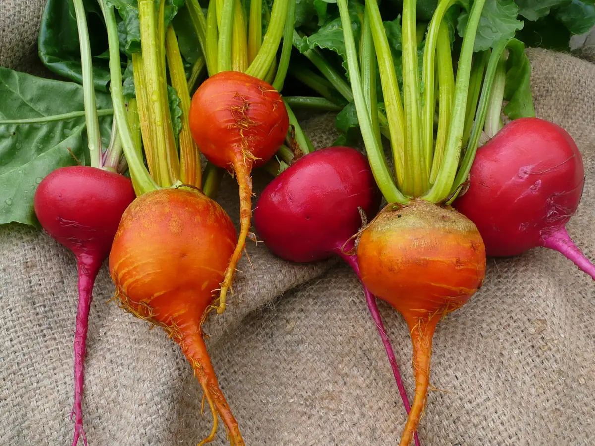 Science Says Beets May Increase Muscle Power - Reviewed