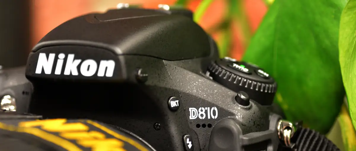 Nikon D810 Digital Camera Review - Reviewed