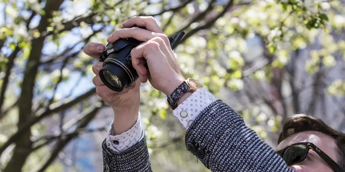 Nikon Coolpix L840 Camera Review - Reviewed