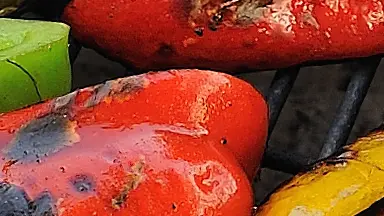 Vegetables on a grill