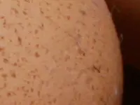 Some fine-looking cage-free eggs
