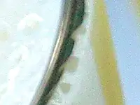 Pineapple smoothie