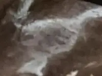 Une paire de bottes en cuir teinté au sel