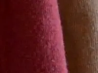 Clothes hanging in a closet