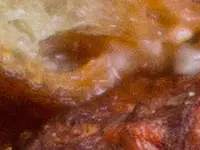 Food from Delfina Pizzeria available through Postmates