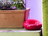 Bulbo LED grow lights