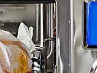 Cuisinart steam oven with salmon