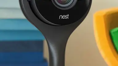 The Nest Cam