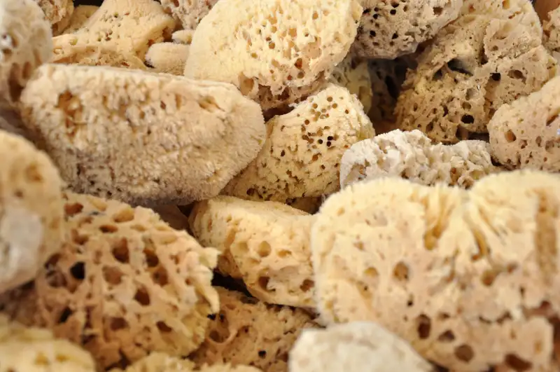 6 All-Natural Sponges to Kickstart Your Spring Cleaning - Reviewed