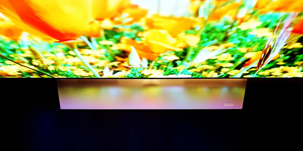 The LG 65EF9500 Flat 4K OLED TV