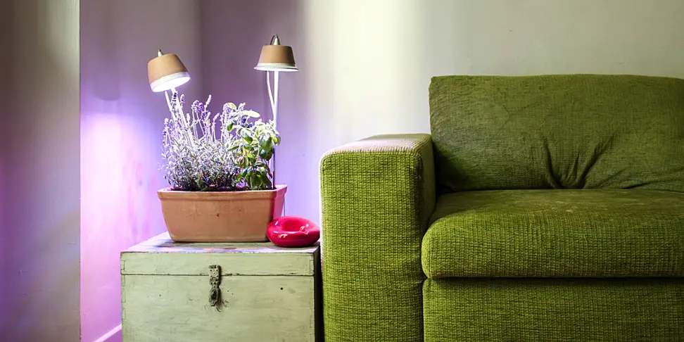 Bulbo LED grow lights