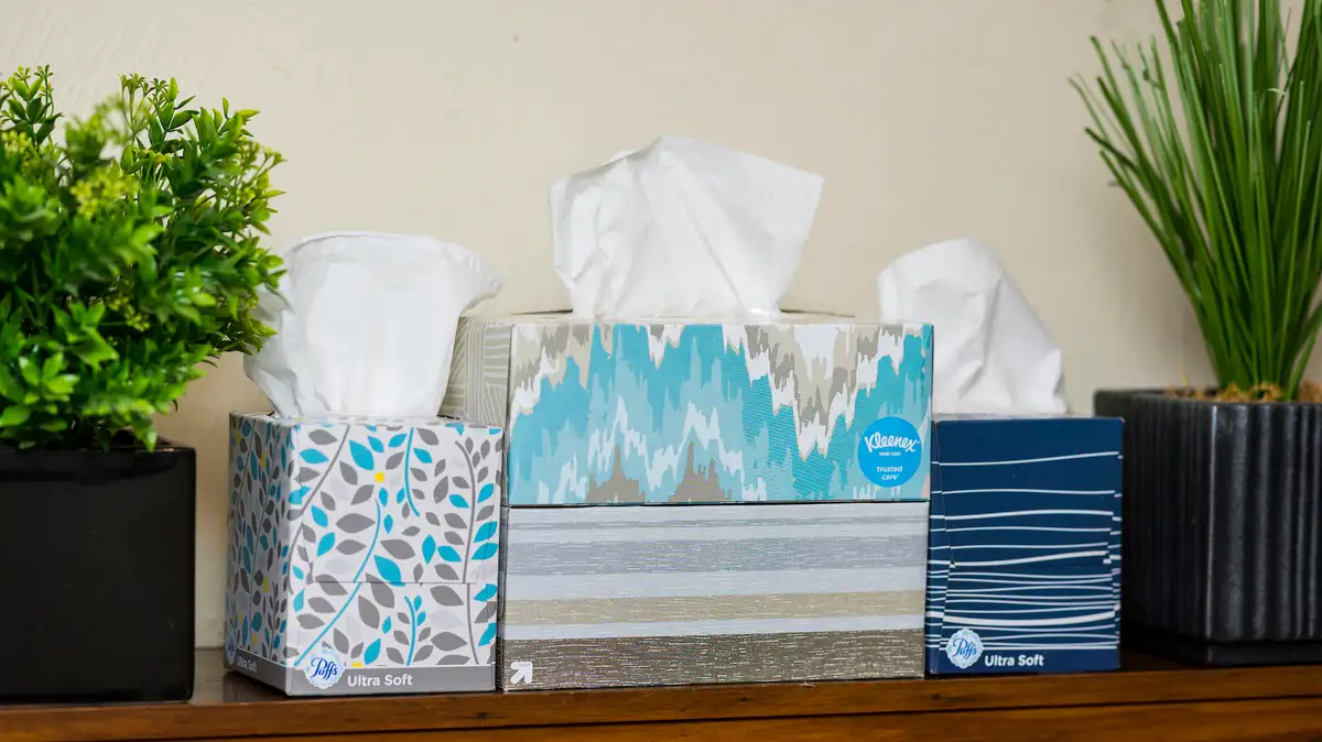 7 Best Facial Tissues and Kleenex of 2026 - Reviewed