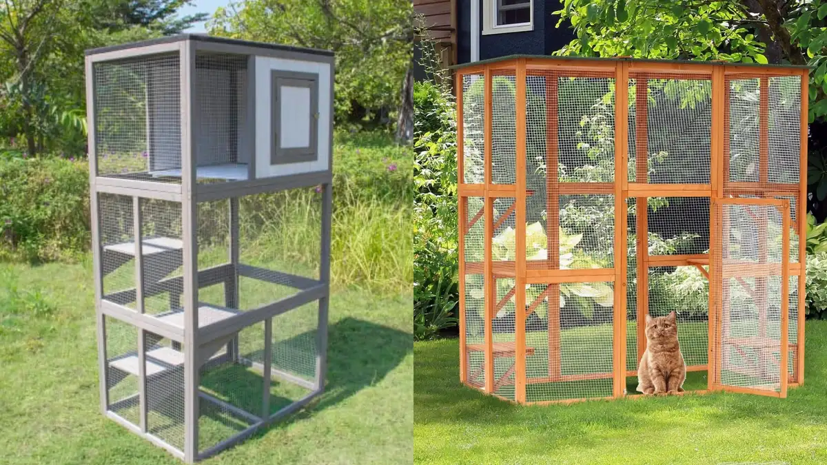 Trendy catios—or outdoor cat enclosures—your cat needs - Reviewed