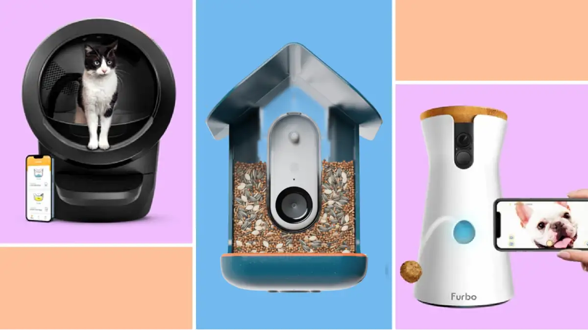 Smart tech: Pet products to make your life easier - Reviewed