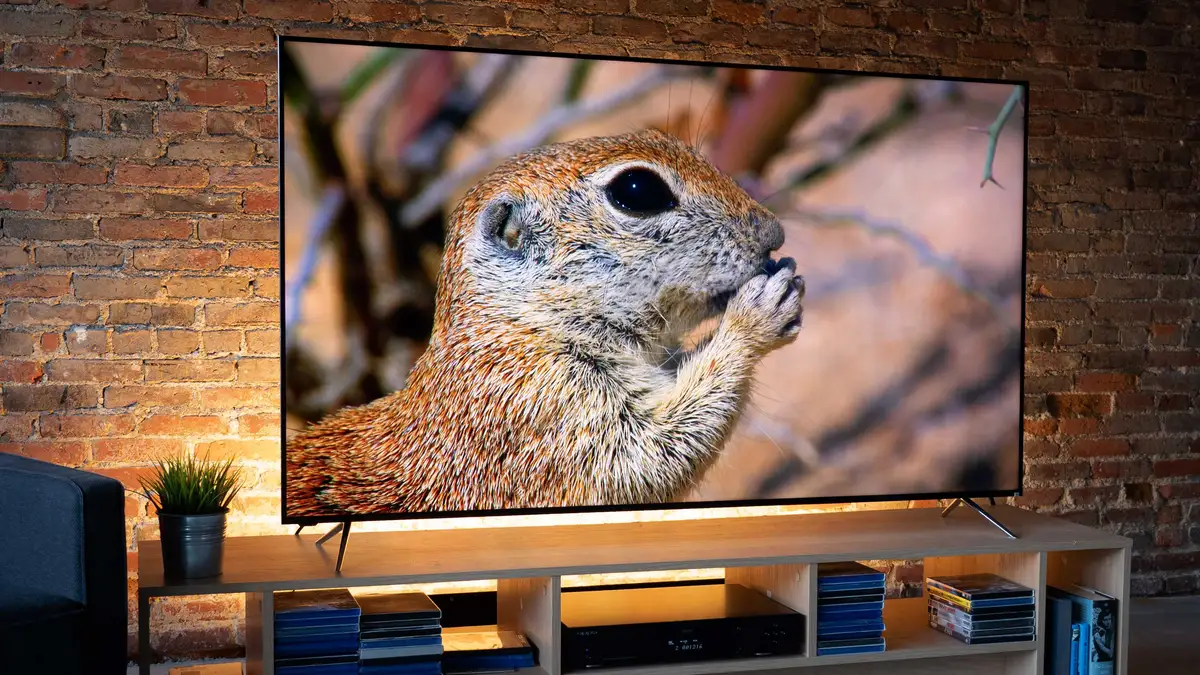 Vizio P-Series Quantum X (Vizio PX65-G1, Vizio PX75-G1) TV Review