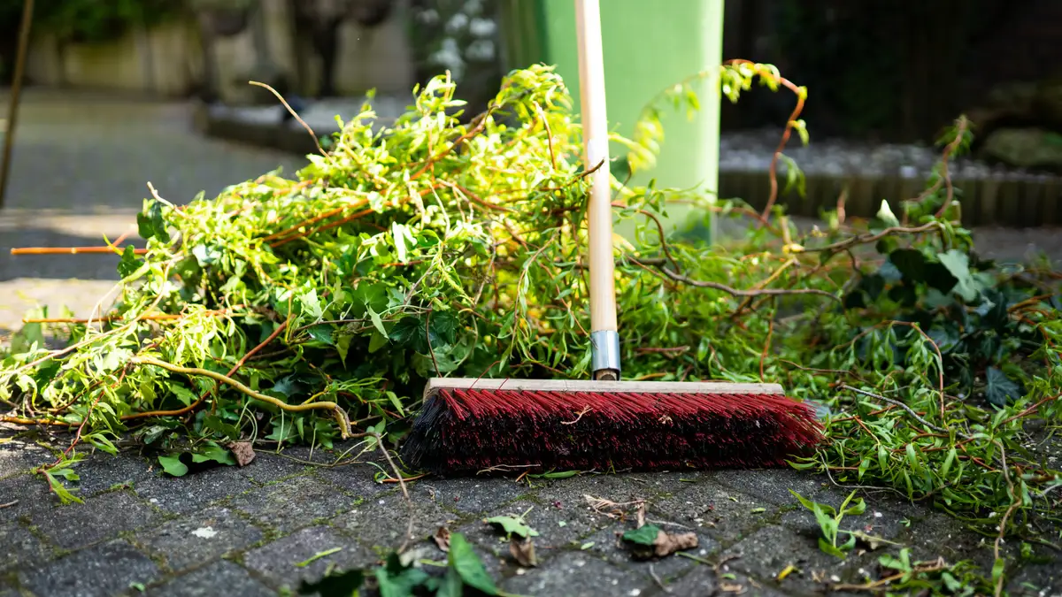 How to safely clean up your home and yard after a storm - Reviewed