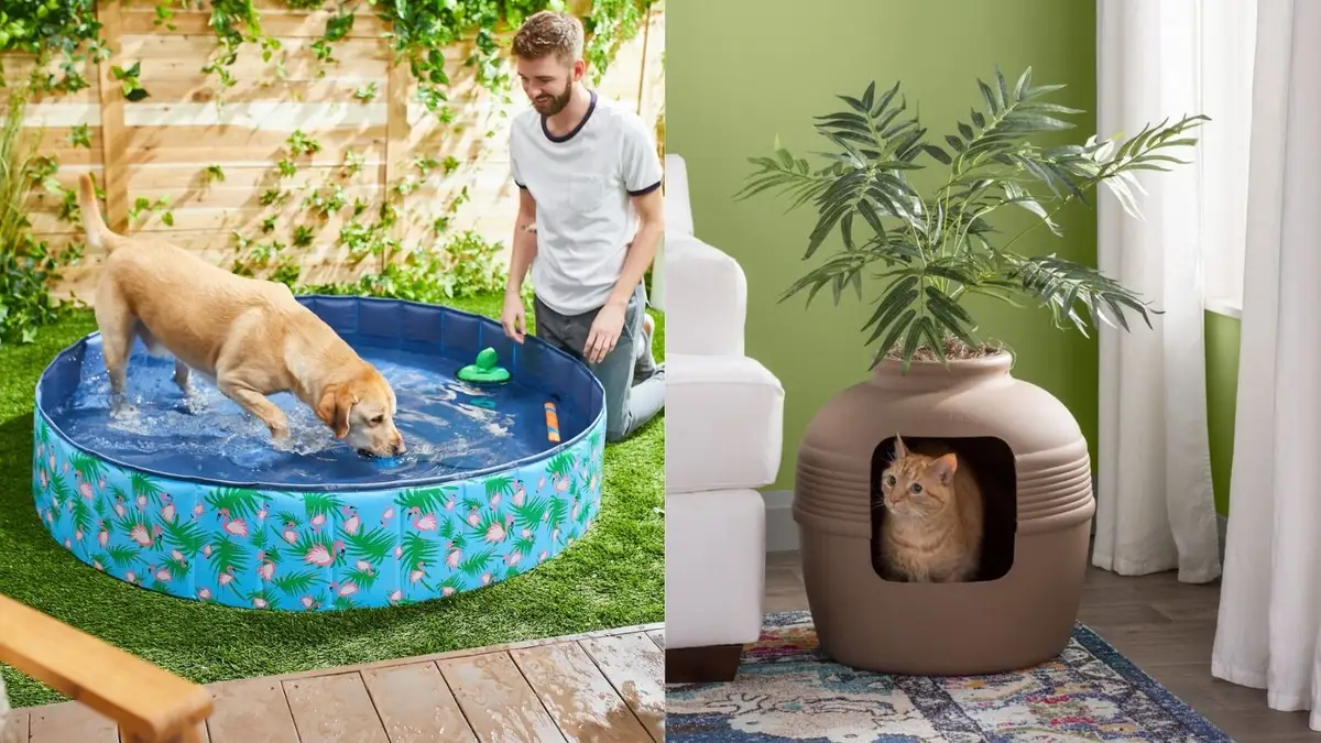 pet supplies chuy pet