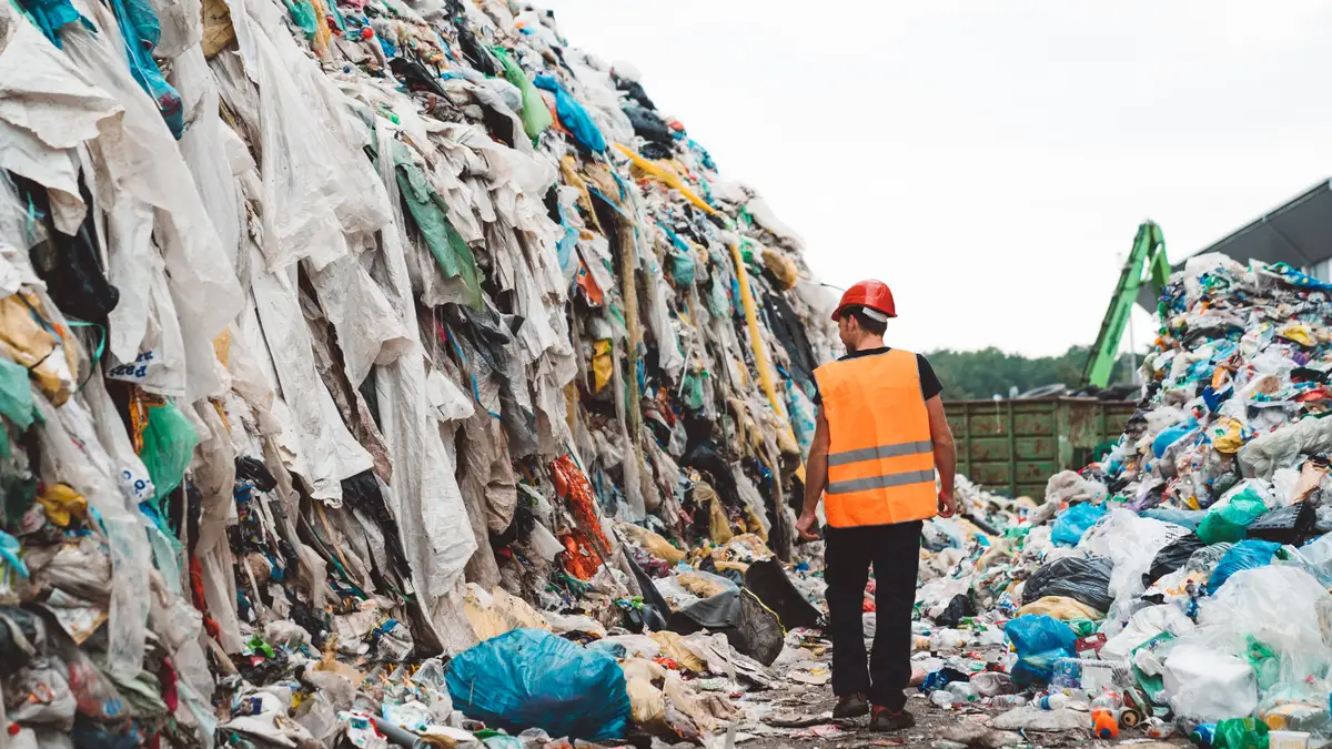5 least sustainable fabrics: Polyester, nylon, cotton and more. - Reviewed