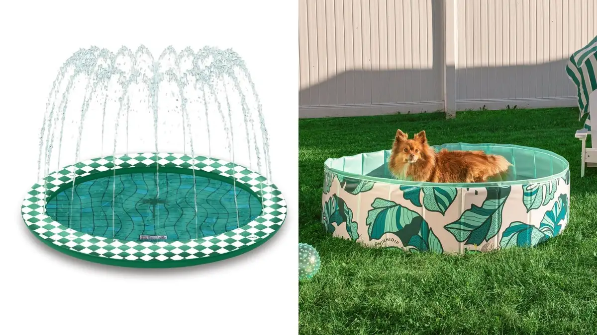 7 dog swimming pools to keep your pup cool this summer - Reviewed