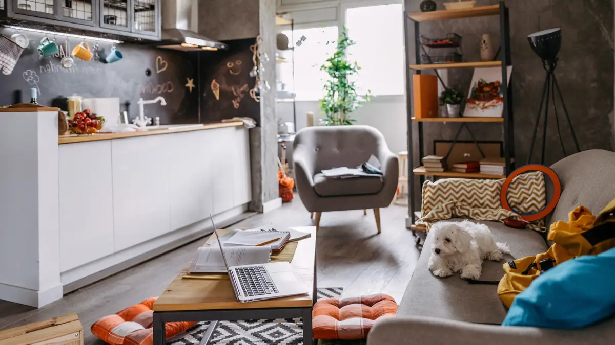 Common problems in apartments and how to solve them - Reviewed