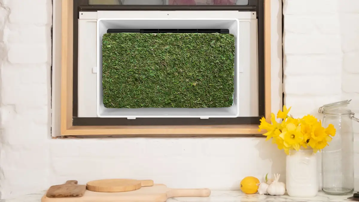 July Smart Window AC 8,000 BTU (JLYA1000)
