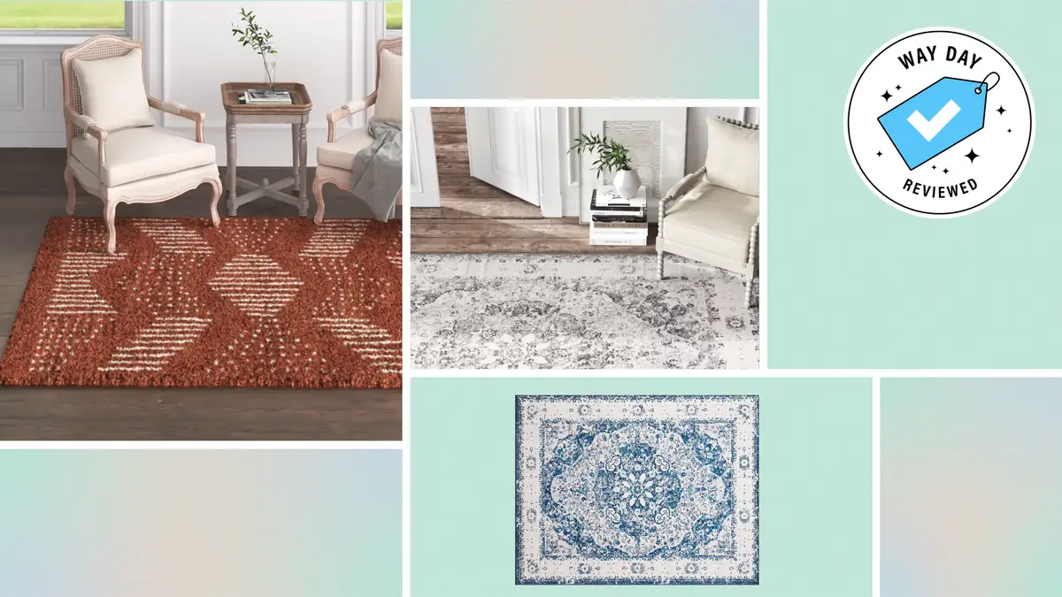 Wayfair rugs: Save 72% on Kelly Clarkson Home rugs for October Way Day ...