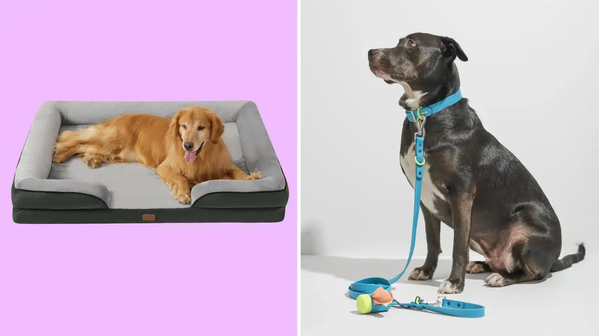 National Pet Day deals: Save at Amazon, Chewy, Target, Petco, and more ...