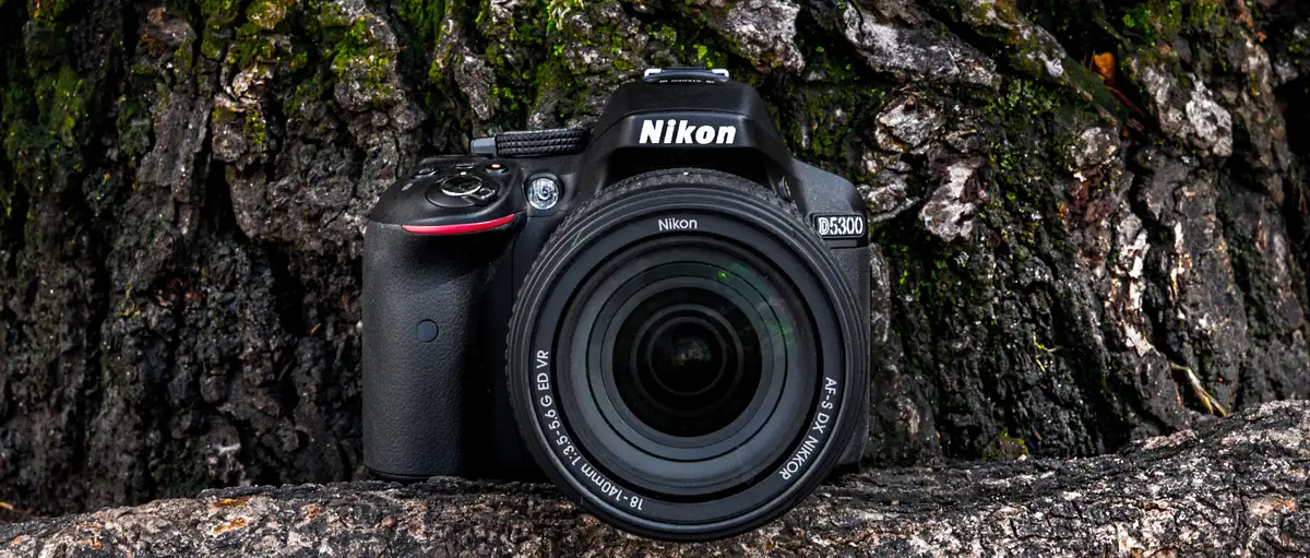 d5300 review nikon d5300 megapixels