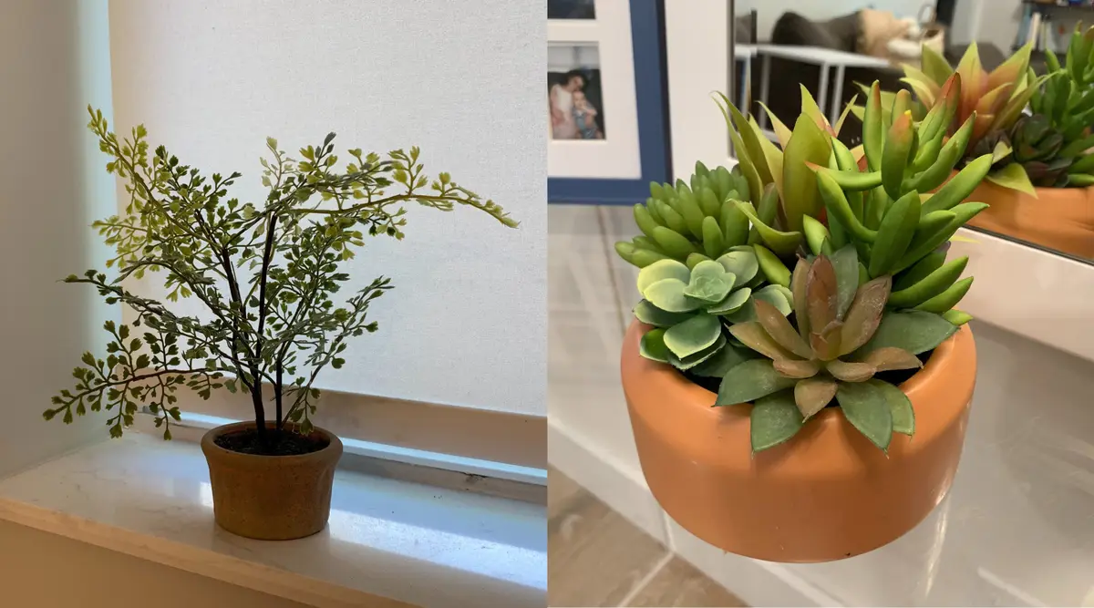 Indoor fake plants are better than real plantshere's why - Reviewed