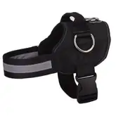Product image of Joyride Pug Life Harness