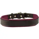 Product image of Perri's Padded Leather Dog Collar