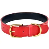 Product image of Aolove Basic Classic Padded Leather Pet Collar