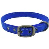 Product image of Max & Neo Max Dog Collar
