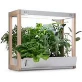 Product image of Rise Gardens Personal Garden