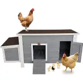 Product image of Petsfit Weatherproof Outdoor Chicken Coop