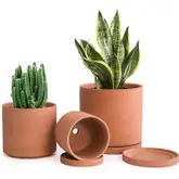Product image of D’vine Dev Set of 3 Terracotta Pots
