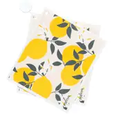 Product image of Papaya Reusable Paper Towel 2-Pack