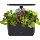 Product image of AeroGarden Harvest 2.0