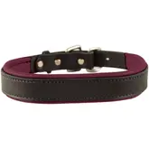 Product image of Perri's Padded Leather Dog Collar
