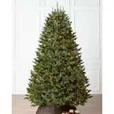 Product image of Balsam Hill Fraser Fir with Candlelight Clear LED, 7.5'