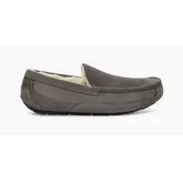 Product image of Ugg Ascot Slipper