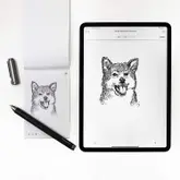 Product image of Livescribe Symphony