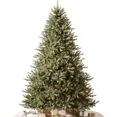 Product image of Balsam Hill Classic Blue Spruce with Clear LED, 6.5'