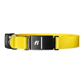 Product image of Fi Series 3 Smart Dog Collar