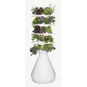 Product image of Lettuce Grow Farmstand (Indoors)