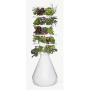 Product image of Lettuce Grow Farmstand (Indoors)