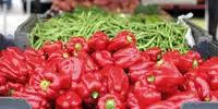 North Charleston Farmers Market