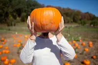 10 pumpkin spice products that are more fail than Fall