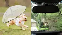 10 reasons to look forward to the rainy days of spring