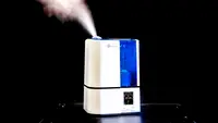 What's  the difference between a humidifier and dehumidifier?
